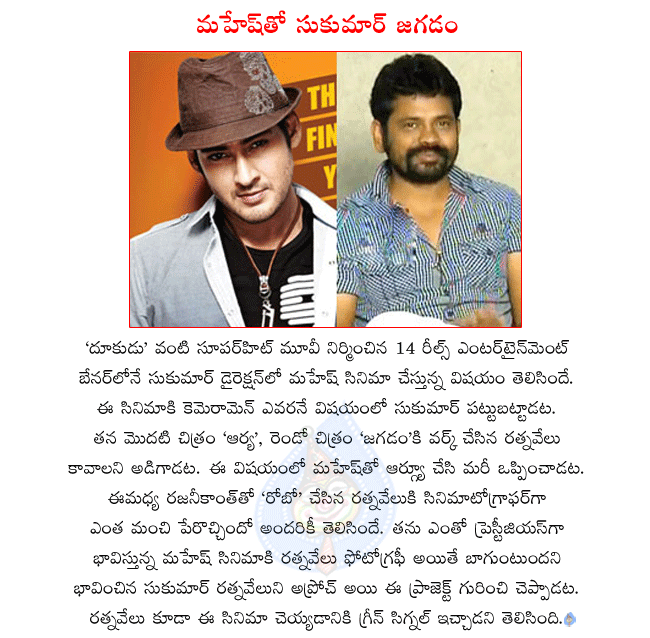 mahesh babu latest movie business man,business man releasing on january 11th,mahesh babu next movie with sukumar,ratnavelu cinematographer for mahesh and sukumar combo movie,mahesh and sukumar combo movie starts in 2012  mahesh babu latest movie business man, business man releasing on january 11th, mahesh babu next movie with sukumar, ratnavelu cinematographer for mahesh and sukumar combo movie, mahesh and sukumar combo movie starts in 2012